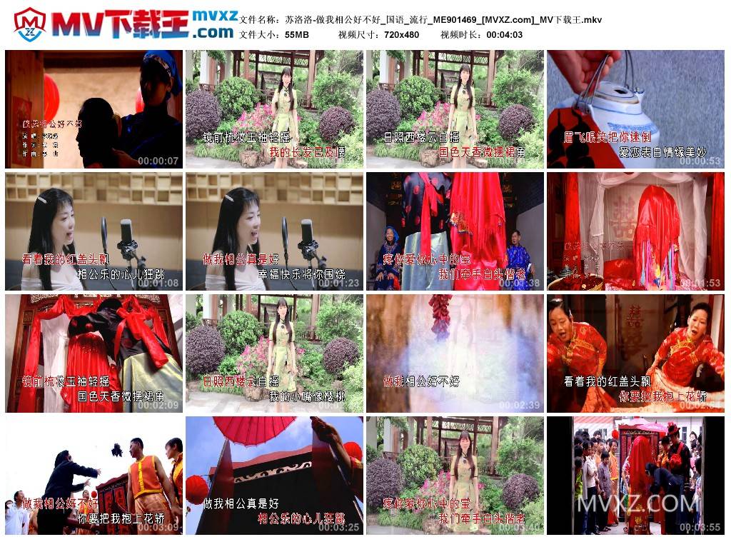 苏洛洛-做我相公好不好_国语_流行_ME901469